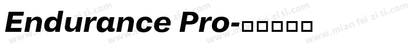 Endurance Pro字体转换